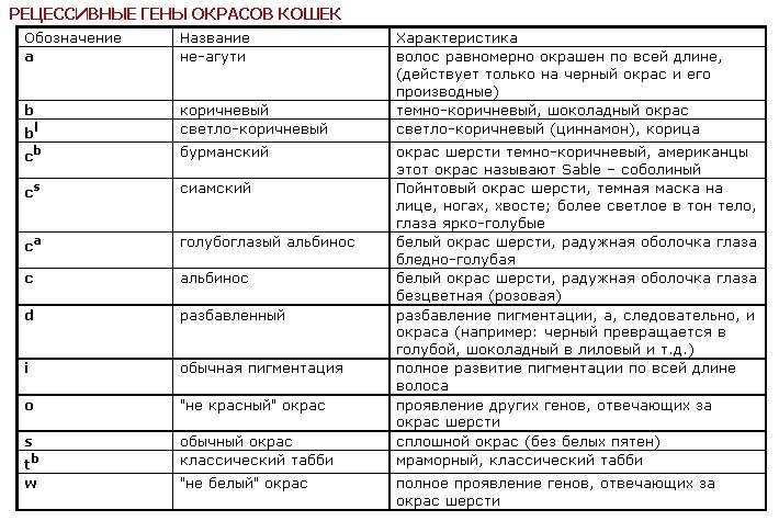 10 милых пород рыжих полосатых кошек | описание + фото