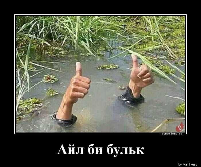 Всяк кулик свое болото хвалит: значение и происхождение поговорки