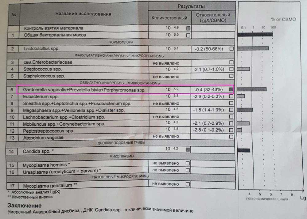 Пцр на гарднереллу: что делать если анализ положительный.