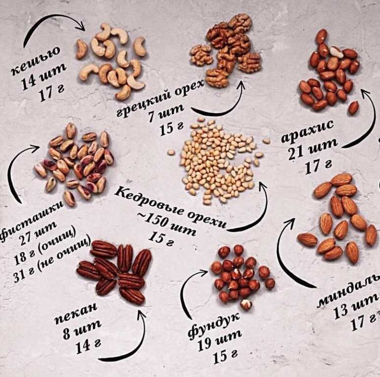 Грецкий орех - сорт великан.