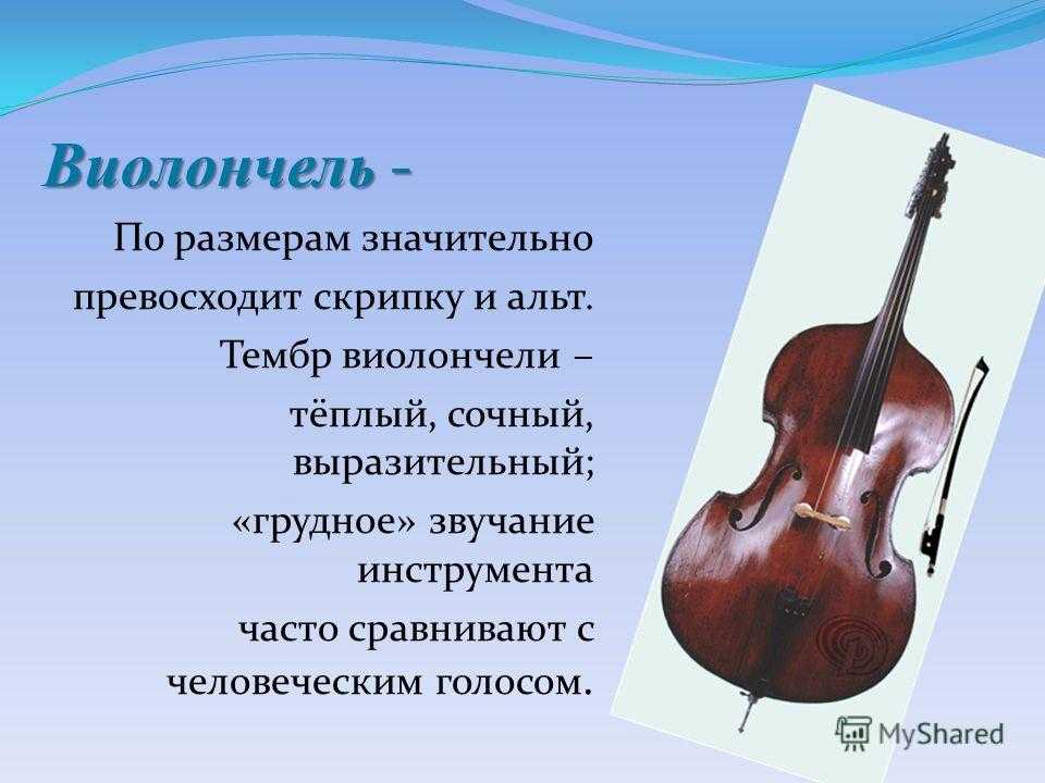 Чем отличается скрипка от виолончели: расшифровка основных различий