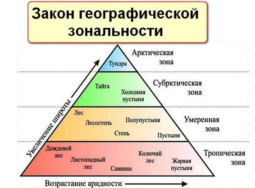 Ответ Широтная зональность это закономерное изменение природных зон начиная от экватора и постепенно двигаясь к полюсам Основная причина её возникновения это изменение соотношения тепла и влаги которое происходит от экватора к полюсам