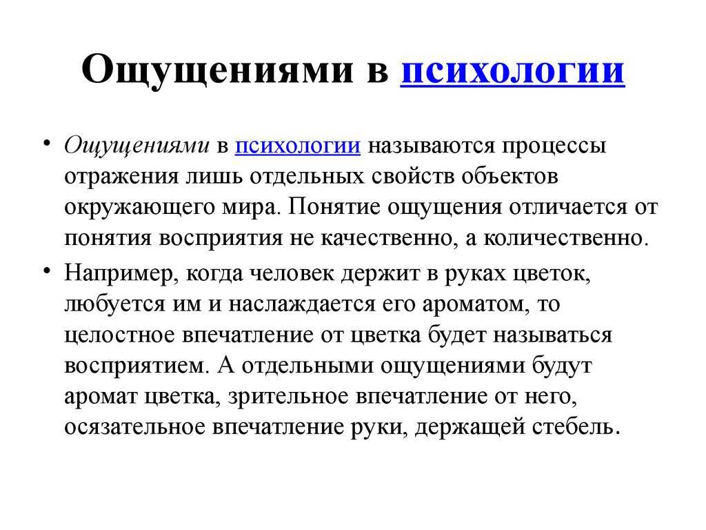 Ощущение и восприятие | блог 4brain