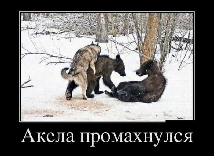 Шерхан