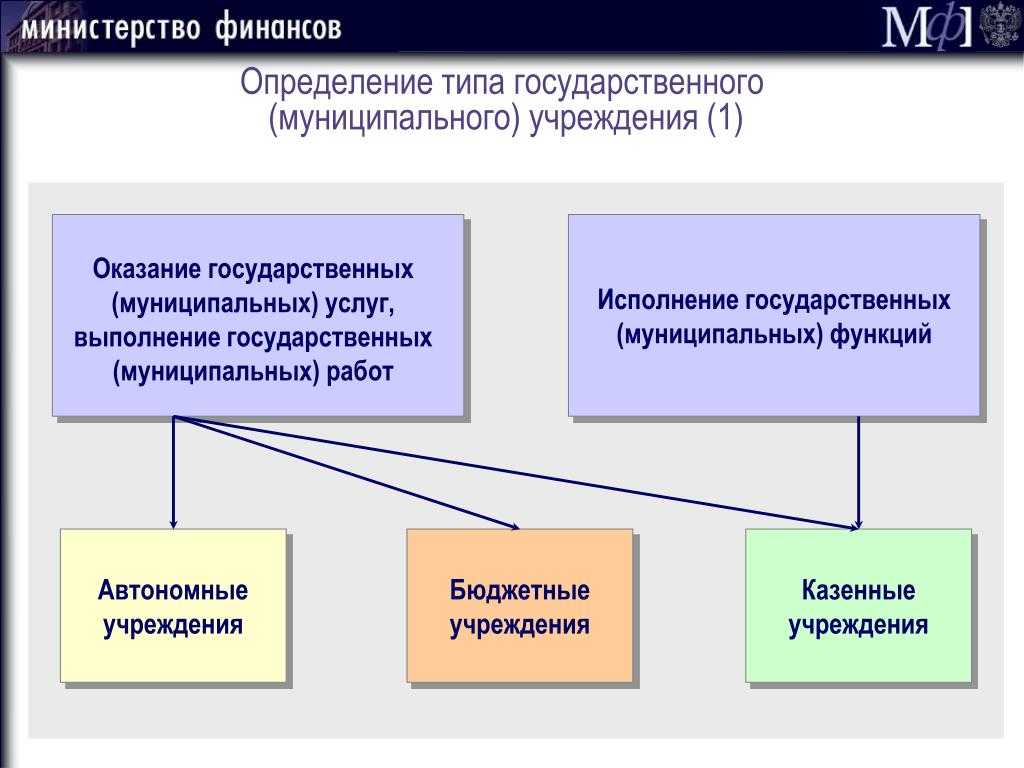 Гбуз или гауз: в чем разница
