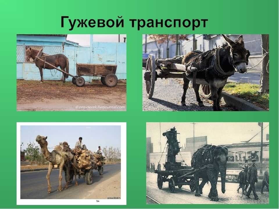 Транспорт ⭐️ мира 10 класс: виды и особенности, характеристика