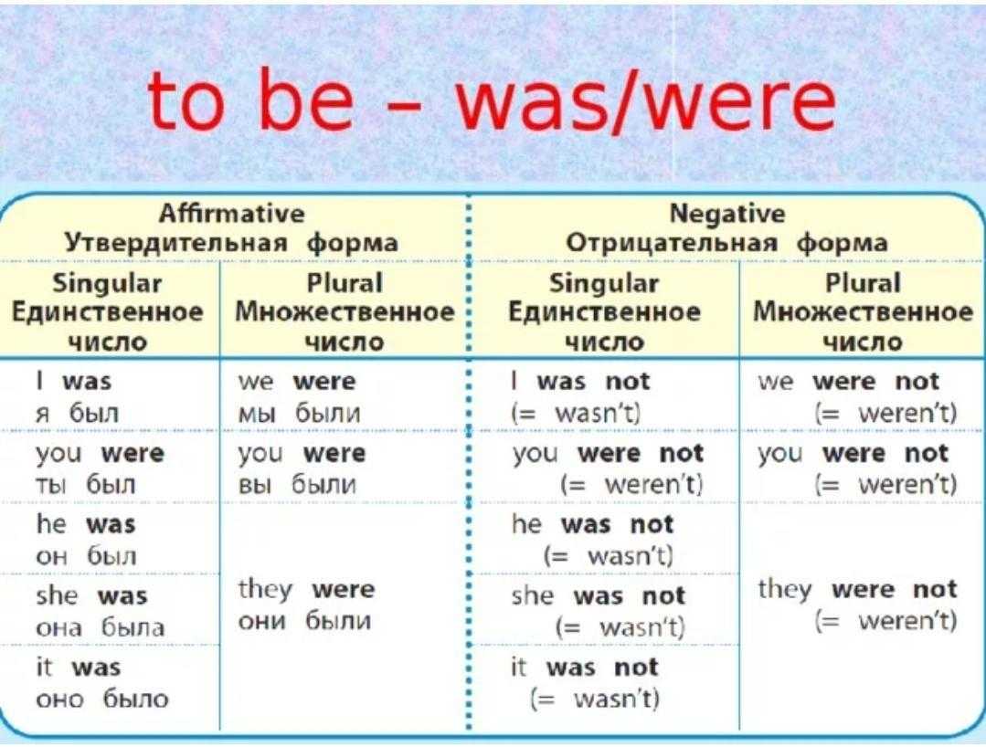 25 английских идиом, связанных с животными