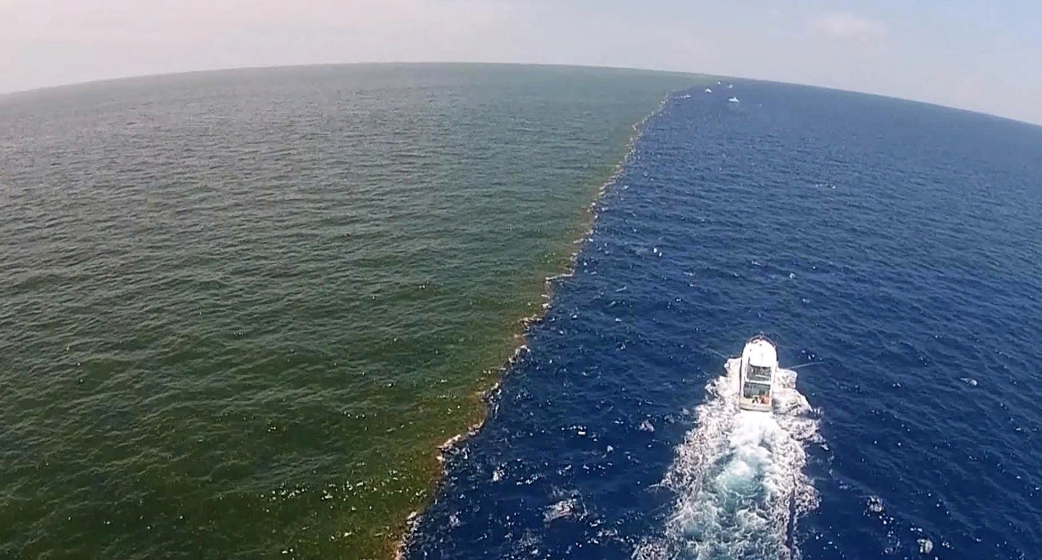 Что такое бухта в море или океане?