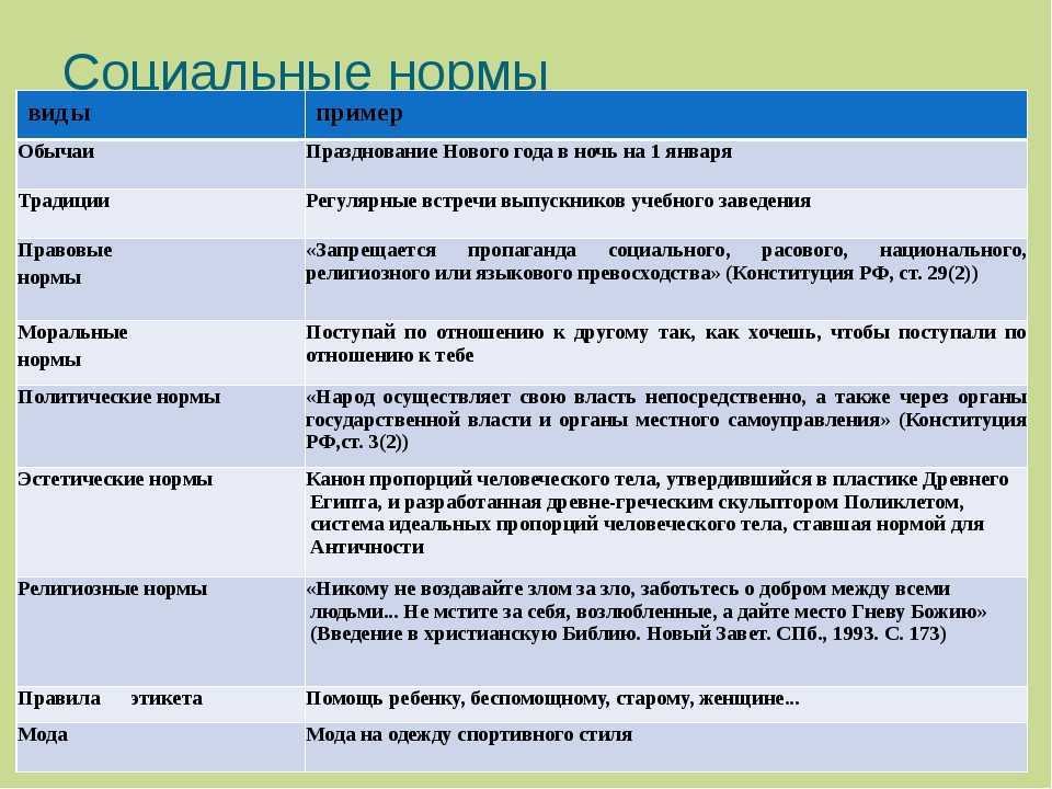 Демографические социальные группы: что это такое и как они влияют на общество