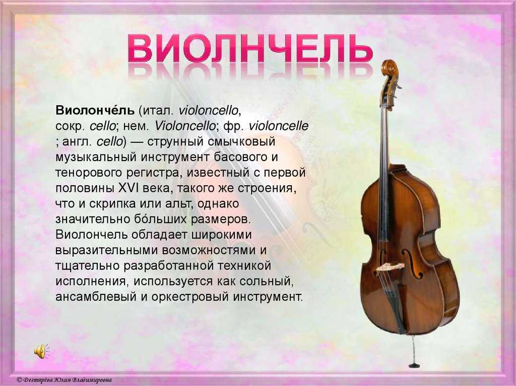 Струнные -смычковые инструменты виолы скрипка альт виолончель контрабас. отличие виолончели от контрабаса