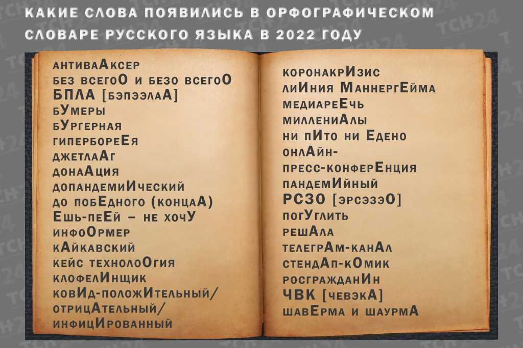 10 ключевых лингвистических терминов, которые помогут понять языковую культуру