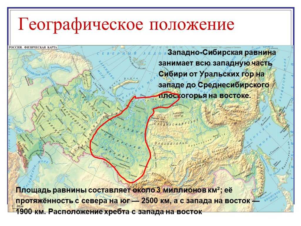 Почему так много болот в западной сибири