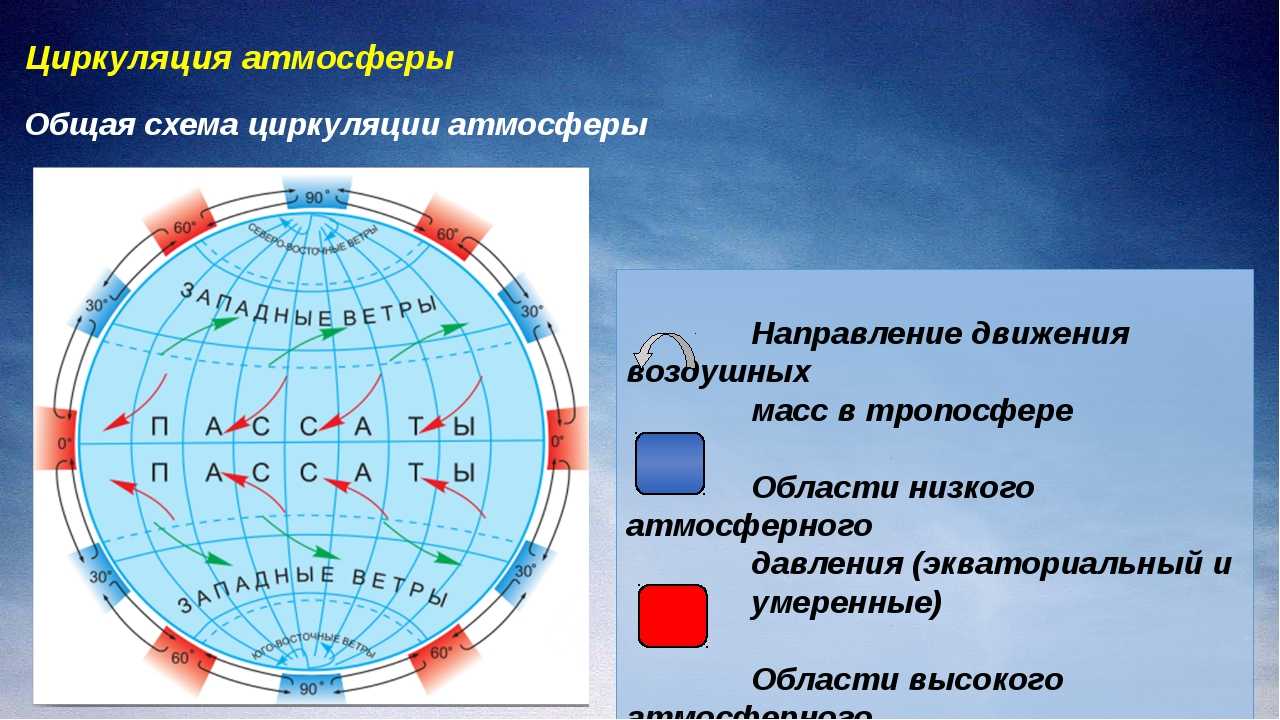 Ветер юго восточный это направление ветра которое связано с движением воздушных масс с востока к югу Он является одним из основных направлений