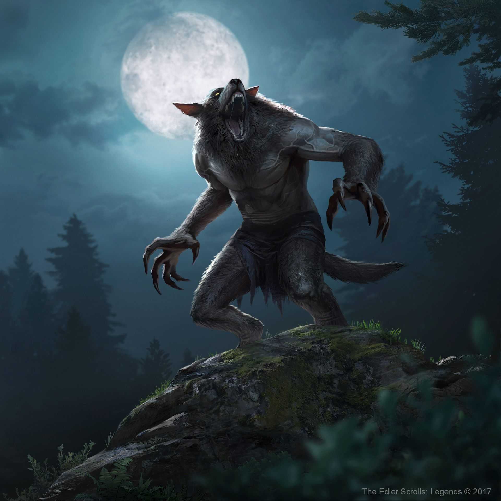 Werewolf - monstropedia