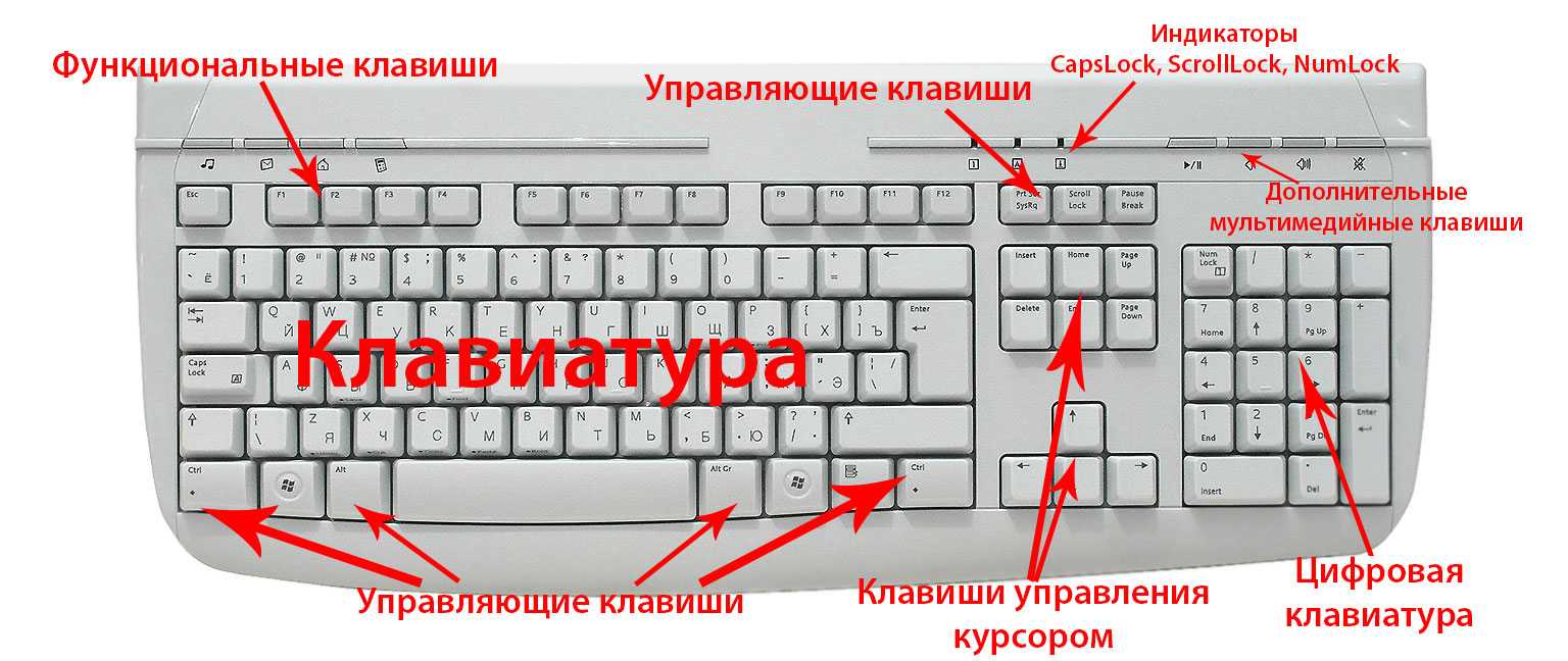 Одновременно нажать кнопки Fn и F1… F12 Вероятно данное сочетание с одной из функциональных клавиш устройства поможет разблокировать клавиатуру