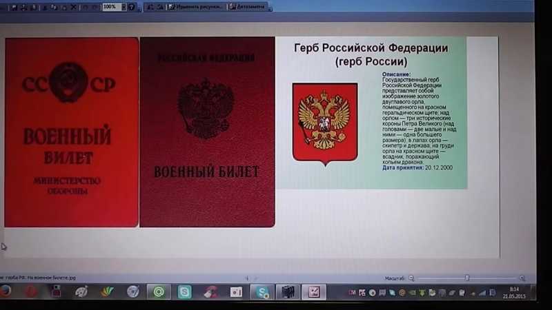 Биография медведева