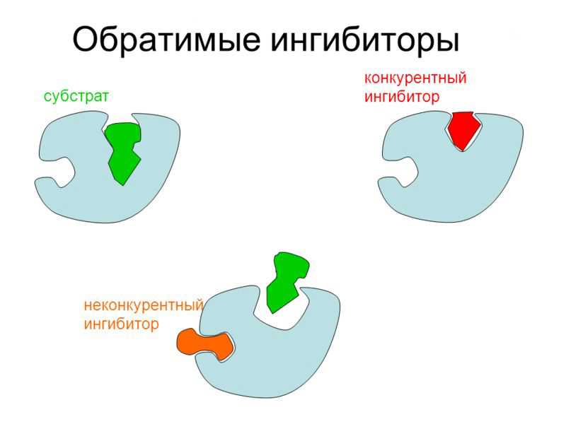 Препараты, индуцирующие микросомальные ферменты печени: что это такое?