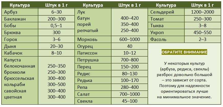 Что означает по-английски слово "топ"