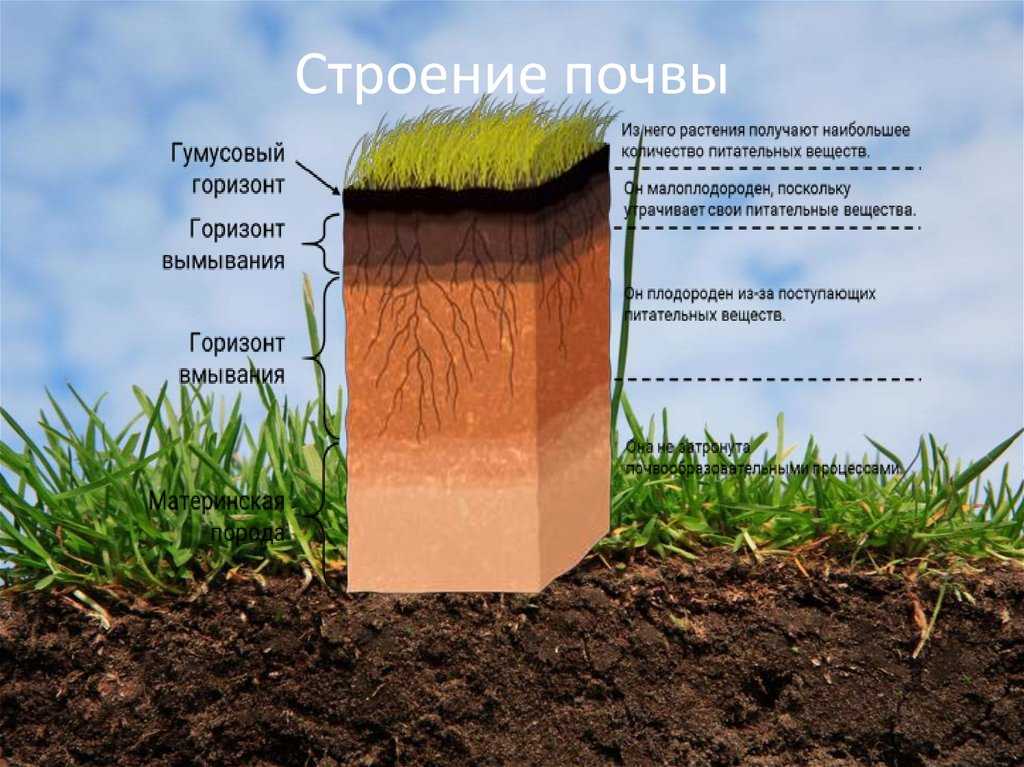 Закрытый грунт
 - большая энциклопедия нефти и газа, статья, страница 1