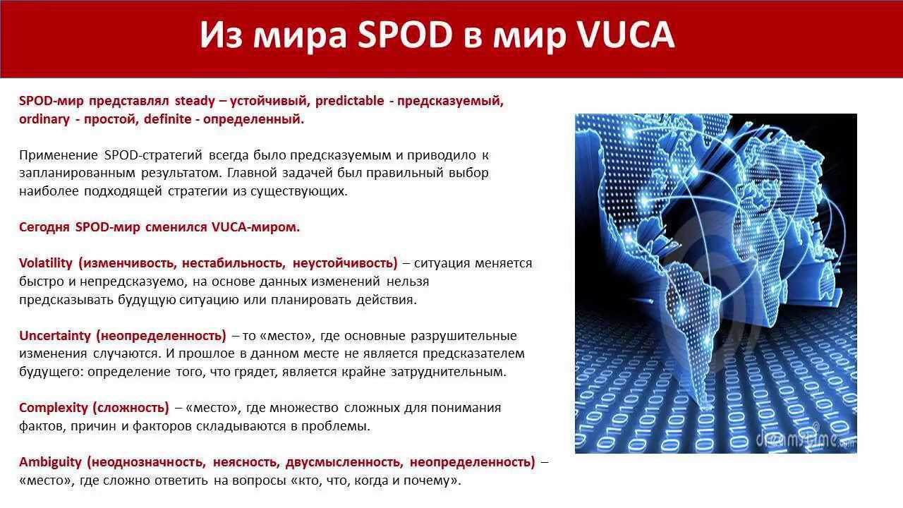 Экологическая сукцессия – главная особенность и значение