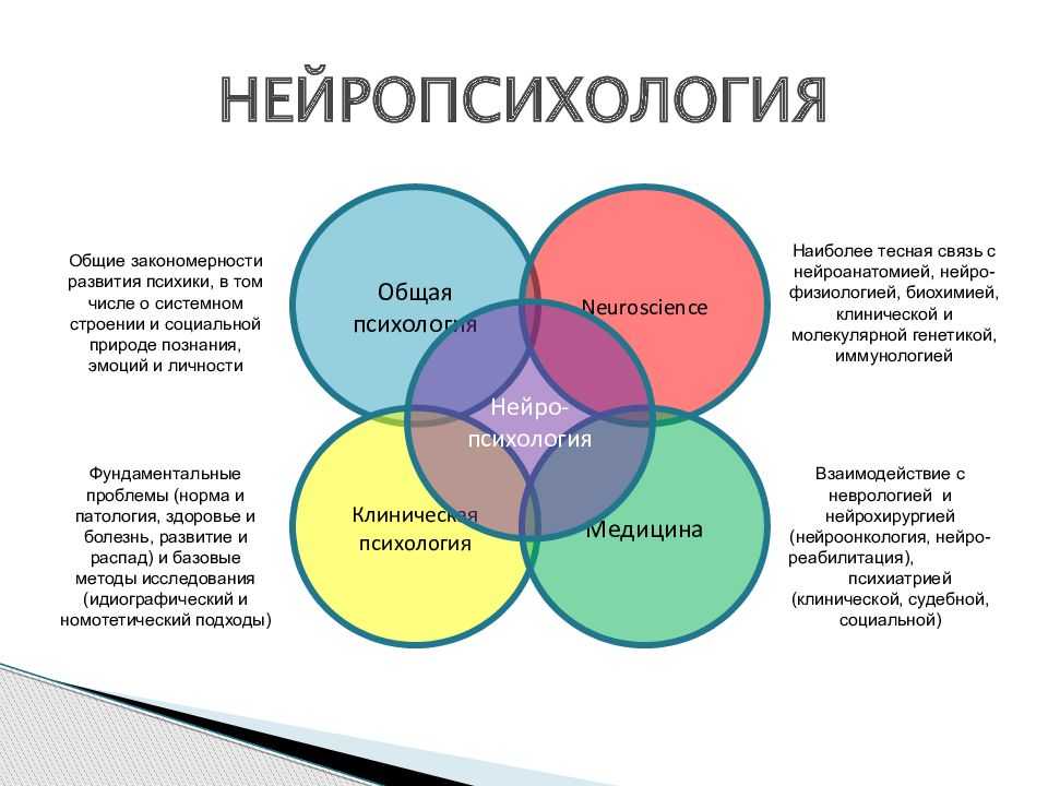 Газонефтяной контакт (гнк) - определение термина