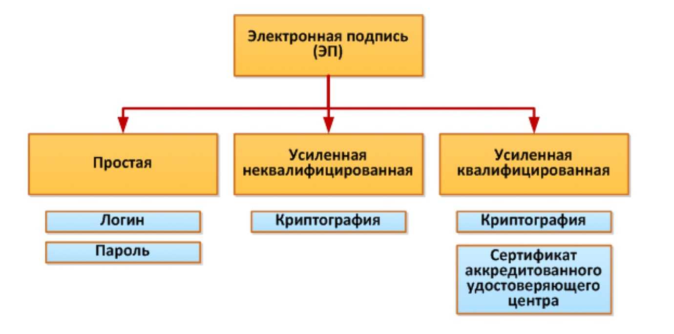 Предназначение и состав сертификата проверки ключа эцп