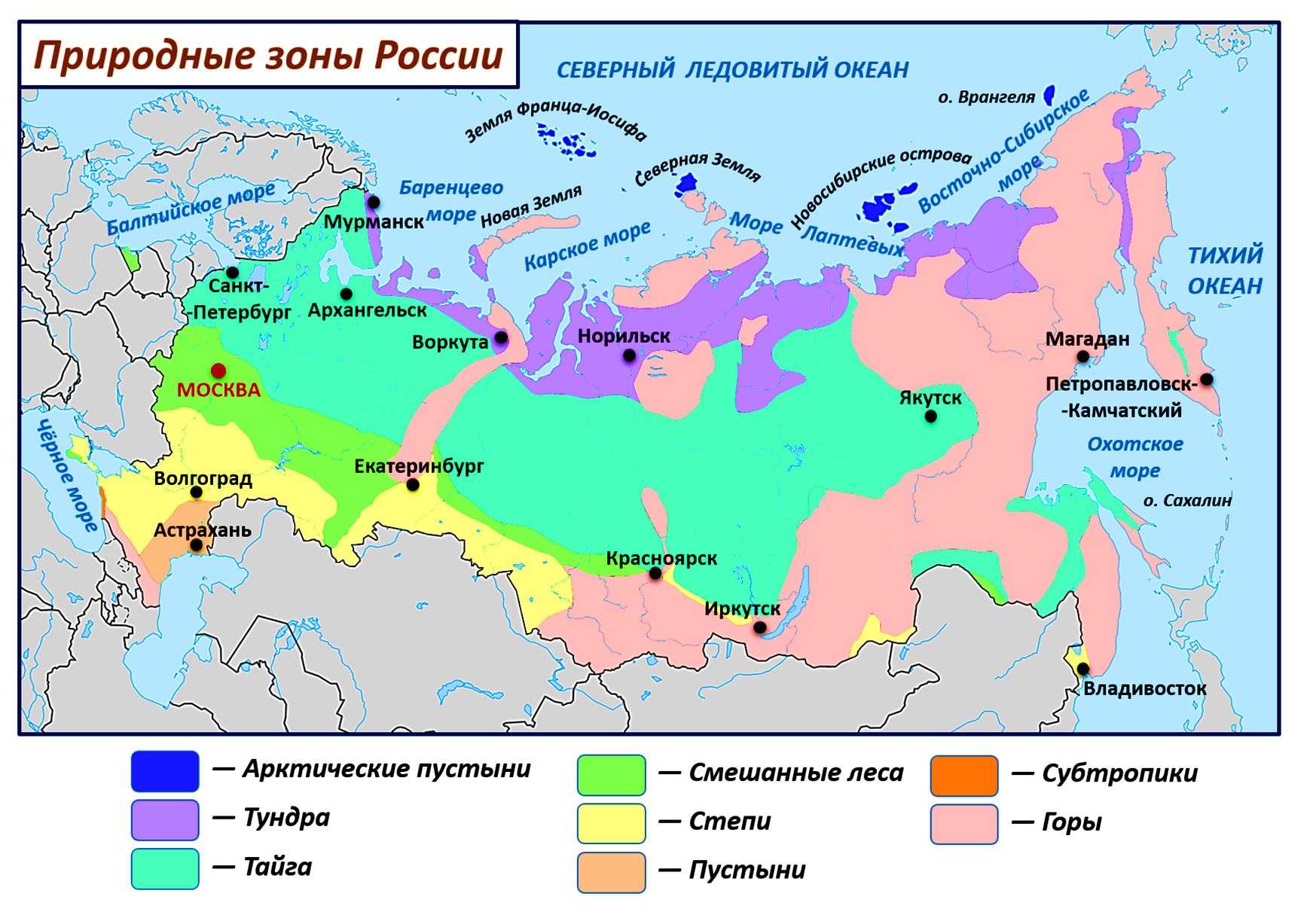 Природная зона россии лесотундра: описание и характеристика, особенности растительного и животного мира,