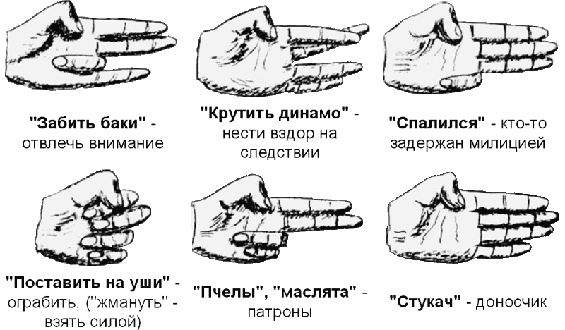 Закусился: что означает это выражение в жаргоне?