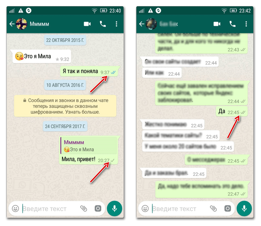Как сделать чтобы была одна галочка в whatsapp