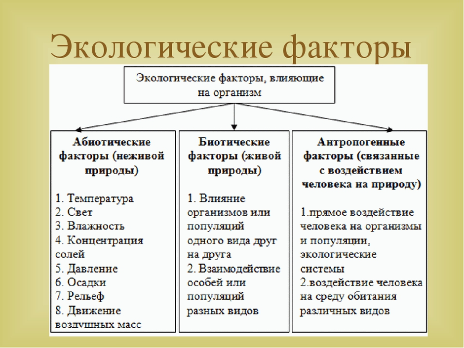 Что такое широтная зональность и высотная поясность, в чем они выражаются, примеры
