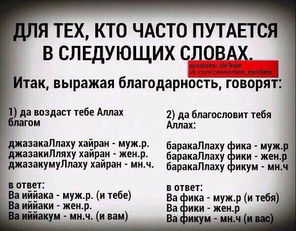 Что нужно отвечать на фразу мир вашему дому