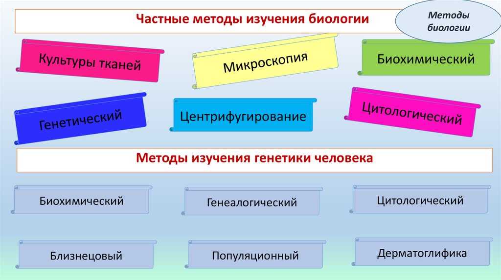 Экспериментальное исследование: что это такое, характеристики, виды и примеры