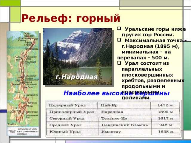 Крупнейшие равнины россии: названия, карты, описание и фото