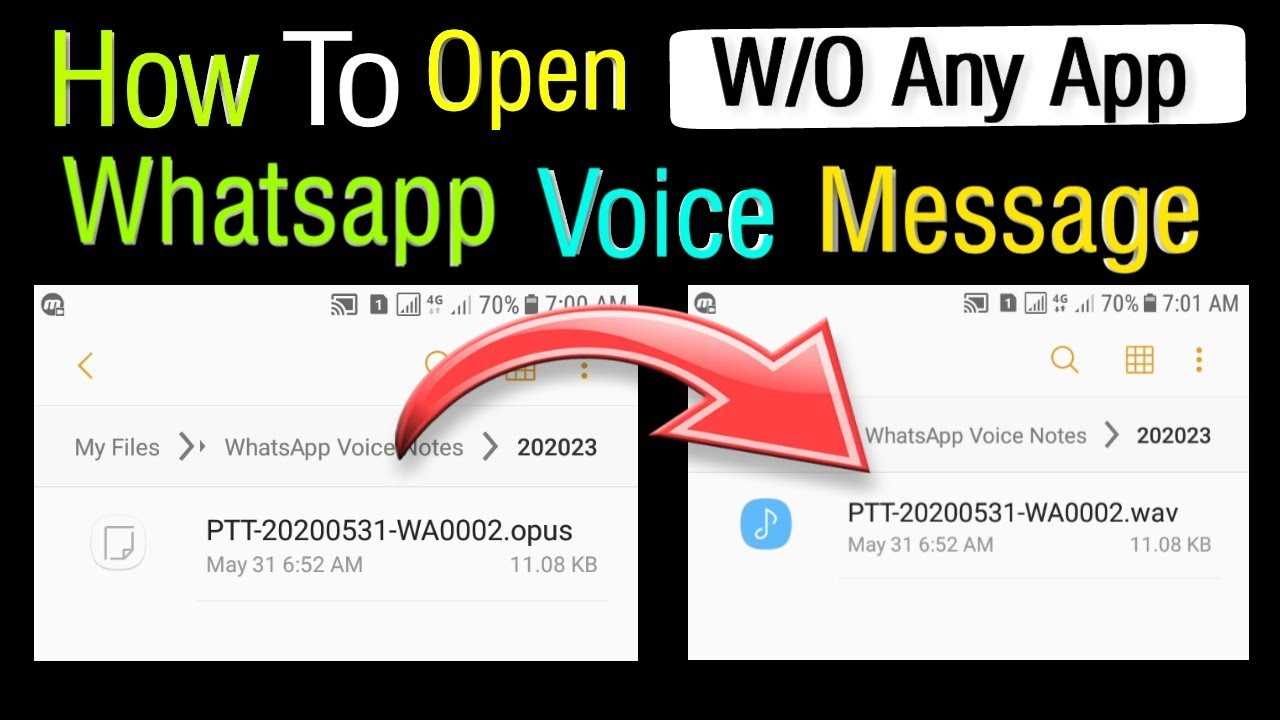 Как сохранить голосовое сообщение из whatsapp, место хранения аудиосообщений на телефоне