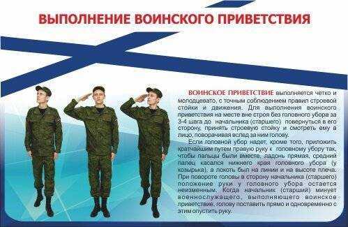 1.2 основные коммуникационные жесты и их происхождение. невербальное общение и его роль в коммуникации - курсовая работа