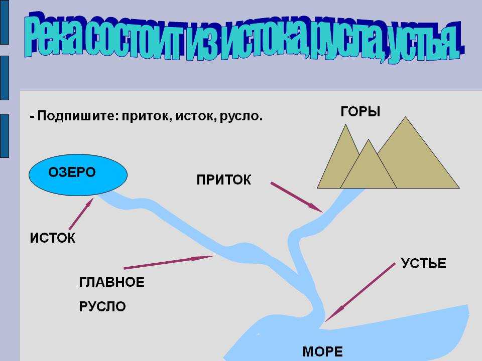Рыбалка на клязьме в московской области: отзывы, какая рыба водится в клязьминском водохранилище