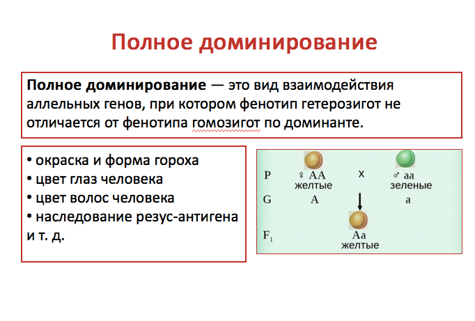 Мужчина-доминант: психология лидерства