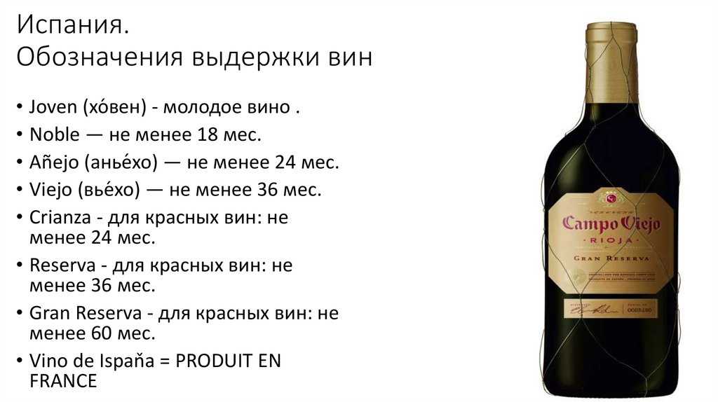 Как не допустить появления плесени на домашнем вине и что делать, если напиток испортился