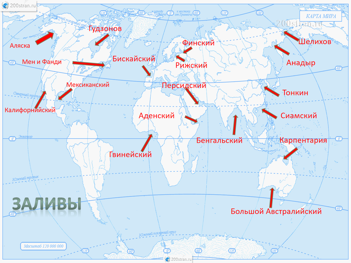 Самое глубокое дно мирового океана: цифровые характеристики, обитатели - tarologiay.ru