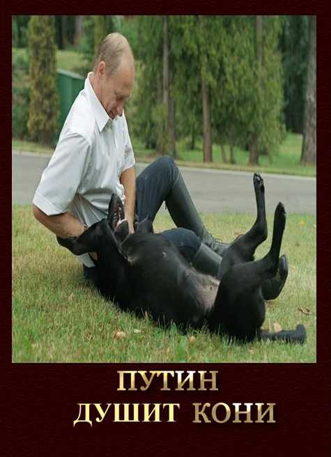Двинуть кони | откуда пошло ✔