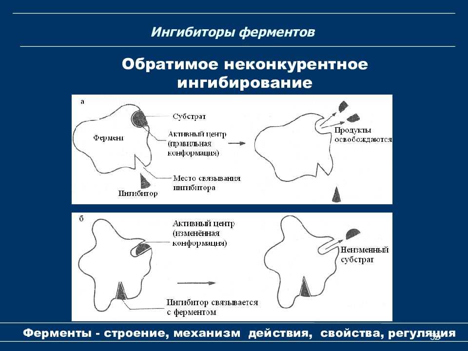 Ингибиторы микросомальных ферментов печени: особенности и значение