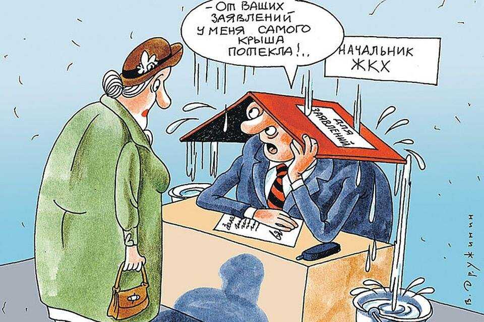 Тсж, жэк, жэу, жкх, управляющая компания: что это такое и как они работают?