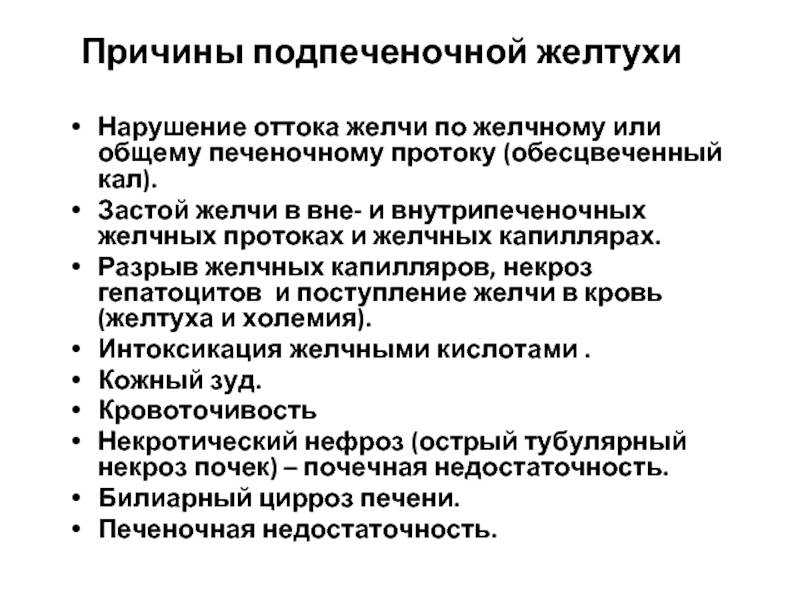 Гомогенное и анэхогенное содержимое желчного пузыря