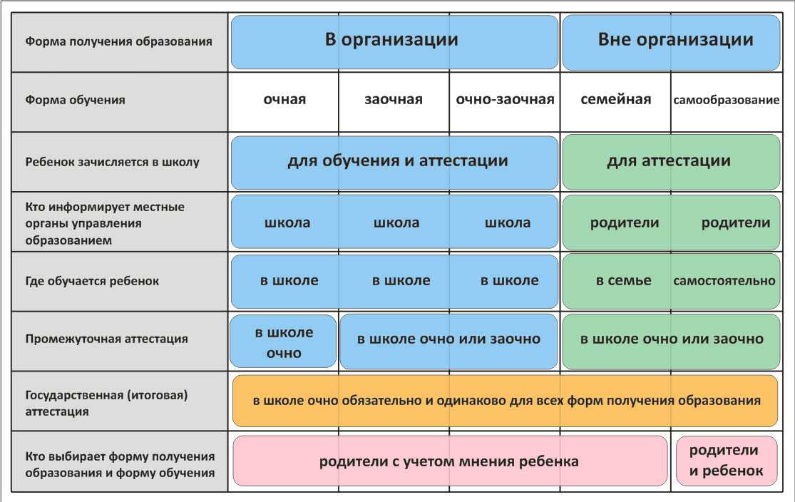 Основные формы организации профессионального образования