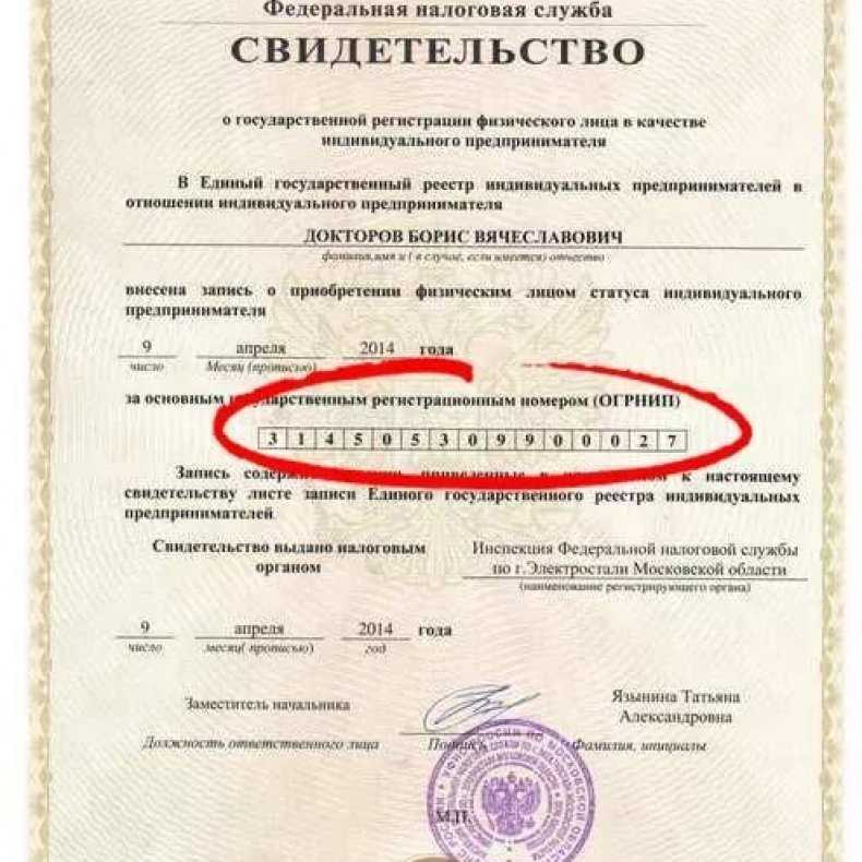 Как узнать кпп по инн: 5 источников информации