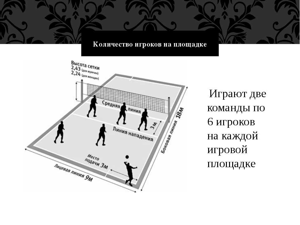 Правила игры в волейбол