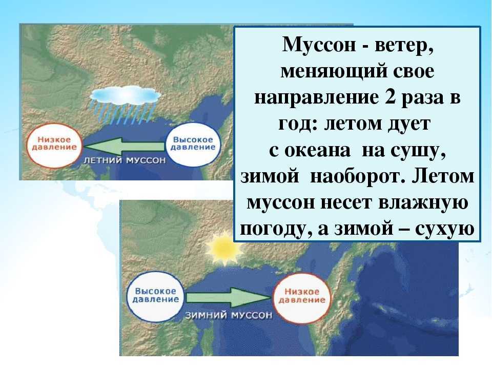 Как избежать разрушительных последствий сильного ветра
