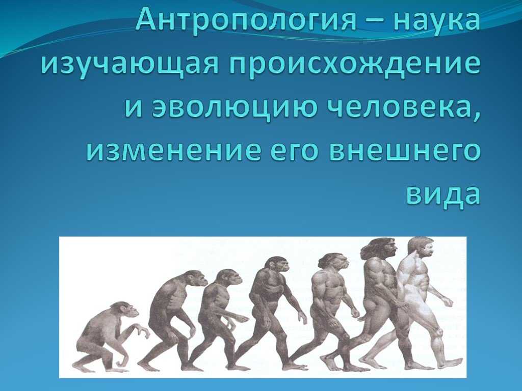 Загривок - что это значит и какие значения может иметь