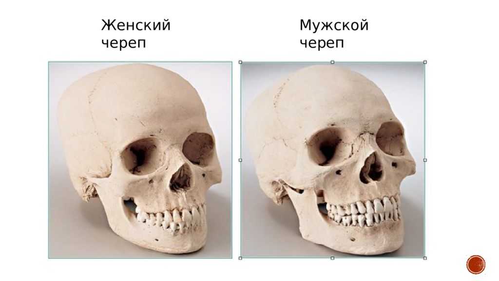 Fttt скульптура ребенок с черепом что это значит