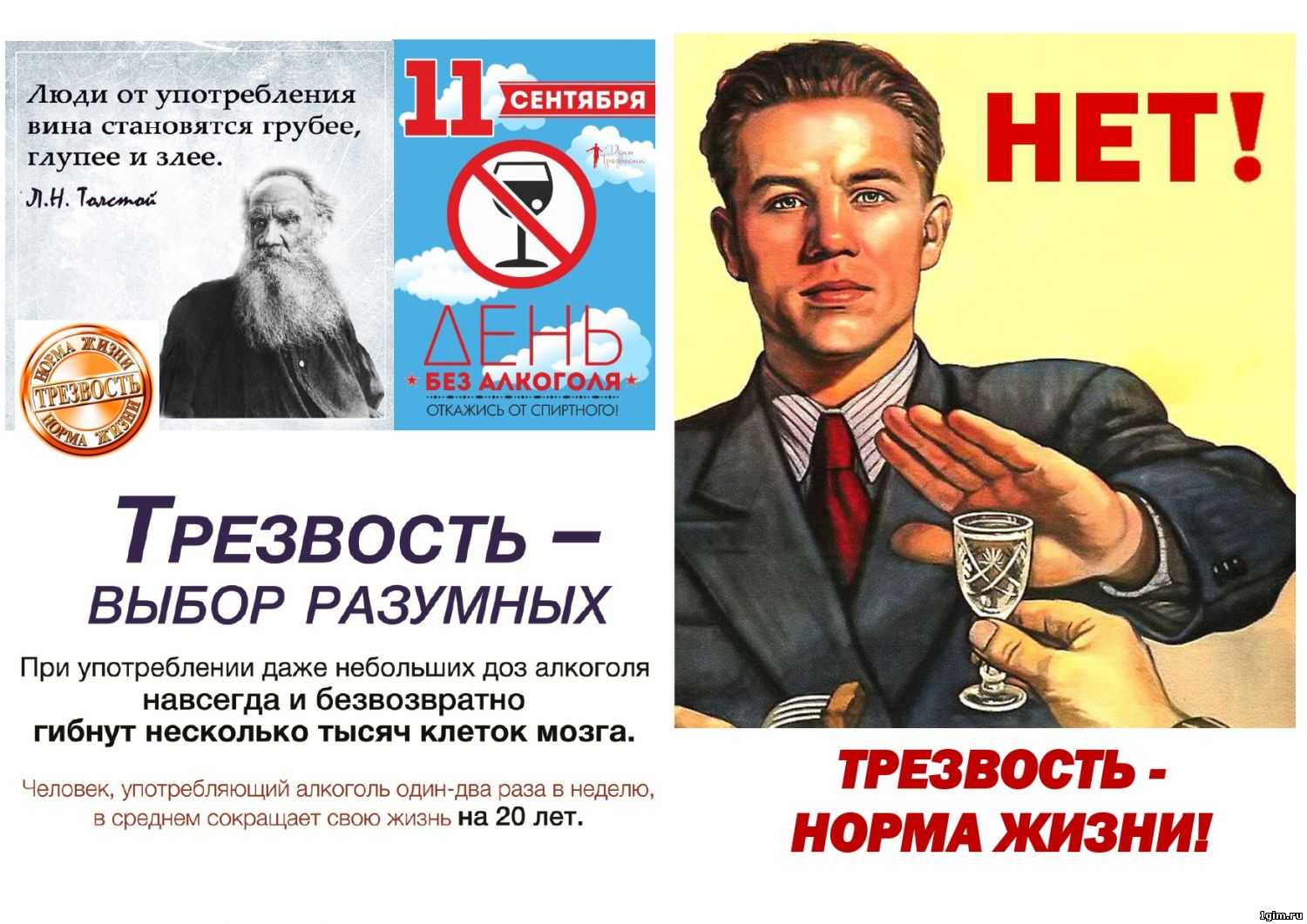 Алкоголь — самый опасный наркотик в мире